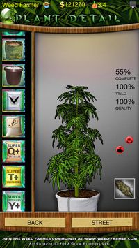 Weed Farmer screenshot, image №34023 - RAWG