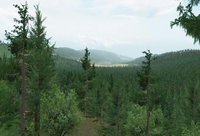 Enemy in Sight screenshot, image №422691 - RAWG