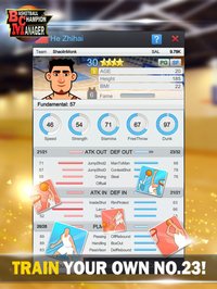 Basketball Champion Manager screenshot, image №1646139 - RAWG