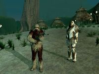 Star Wars Galaxies: Rage of the Wookiees screenshot, image №421822 - RAWG