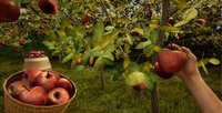 Orchard Simulator screenshot, image №2129967 - RAWG