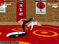 Karate Plus screenshot, image №331030 - RAWG