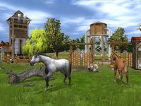 Wildlife Park 2: Horses screenshot, image №493896 - RAWG