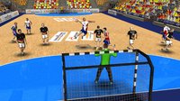 Handball Simulator: European Tournament 2010 screenshot, image №556335 - RAWG