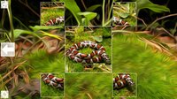 Puzzle Art: Snakes screenshot, image №3051769 - RAWG