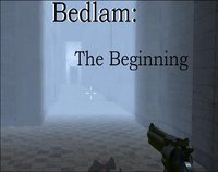 Bedlam: The Beginning screenshot, image №1317963 - RAWG