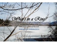 What's in a Ring? screenshot, image №2191949 - RAWG