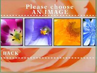 A Flower Puzzle Game screenshot, image №1626143 - RAWG