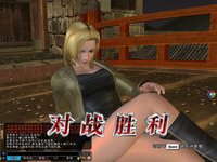 Dead or Alive Online screenshot, image №480217 - RAWG