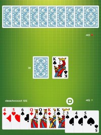 Classic Gin Rummy screenshot, image №2056611 - RAWG