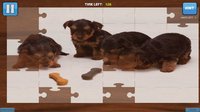 Bepuzzled Puppy Dog Jigsaw Puzzle screenshot, image №1943493 - RAWG