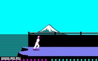 Karateka (1985) screenshot, image №296452 - RAWG