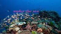 Under The Sea (Maker School) screenshot, image №1775788 - RAWG