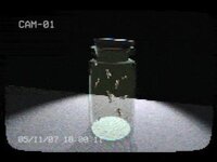 flies in a jar screenshot, image №3111950 - RAWG