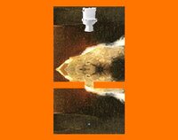 Deucer screenshot, image №3388970 - RAWG