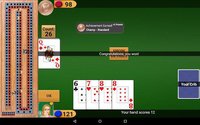 Cribbage Pro Online! screenshot, image №1351178 - RAWG