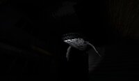 Humped Back Wale screenshot, image №2932633 - RAWG