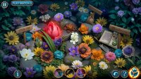 Connected Hearts: Hour of the Witch Collector's Edition screenshot, image №4132790 - RAWG