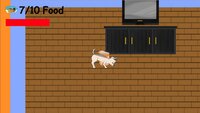 Rabbit is Hungry screenshot, image №3826716 - RAWG