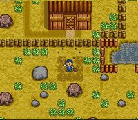 Harvest Moon screenshot, image №761778 - RAWG