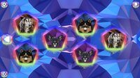 Poly Memory: Dogs screenshot, image №3206562 - RAWG