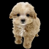 test0619 screenshot, image №3432297 - RAWG