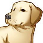 Puppy Mill screenshot, image №1844157 - RAWG