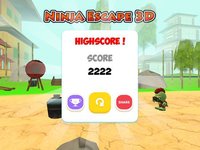 Ninja Escape 3D screenshot, image №1670609 - RAWG