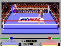 4D Sports: Boxing screenshot, image №296053 - RAWG