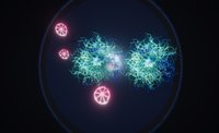 Fungus Frixum screenshot, image №1859808 - RAWG