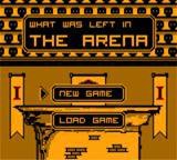 What Was Left In The Arena screenshot, image №1124023 - RAWG