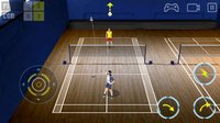 Super Badminton screenshot, image №66633 - RAWG