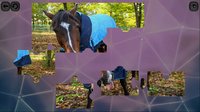 Puzzles for smart: Horses screenshot, image №1703054 - RAWG