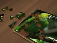 Super Jigsaws Birds screenshot, image №1330781 - RAWG