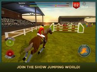 Jumping Horses Champions 2 Free screenshot, image №2062946 - RAWG