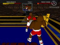 Boxer's Story screenshot, image №417372 - RAWG