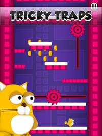 The Cool Cat - Premium Edition screenshot, image №1828003 - RAWG