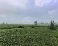 Steel Fury: Fall Blau screenshot, image №497414 - RAWG