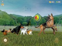 Animal Rescue - Dog Simulator screenshot, image №3825600 - RAWG