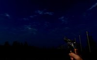 Strange Forest screenshot, image №1315614 - RAWG