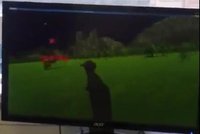 Killing with Love for HTC Vive screenshot, image №1087867 - RAWG