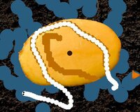 Tato - Potato screenshot, image №2811176 - RAWG