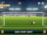 Flick Kick Goalkeeper screenshot, image №897811 - RAWG