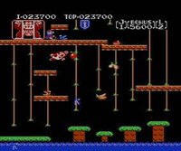 Donkey Kong Jr. screenshot, image №822765 - RAWG