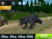 Bear Simulator 2016 . Wild Bears Simulation Games For Kids Free screenshot, image №1762112 - RAWG