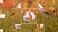 Puzzle Art: Rodents screenshot, image №3077262 - RAWG