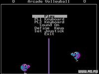 Arcade Volleyball screenshot, image №304202 - RAWG