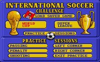 International Soccer Challenge screenshot, image №748797 - RAWG