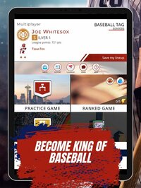 Astonishing Baseball Manager screenshot, image №3380647 - RAWG