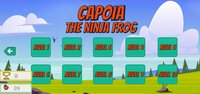 Capoia: The Ninja Frog screenshot, image №3558364 - RAWG